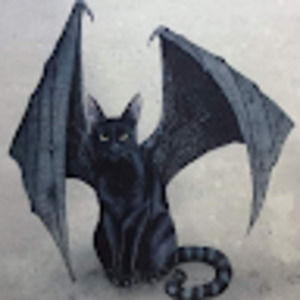 Meet your Posher, Batcat